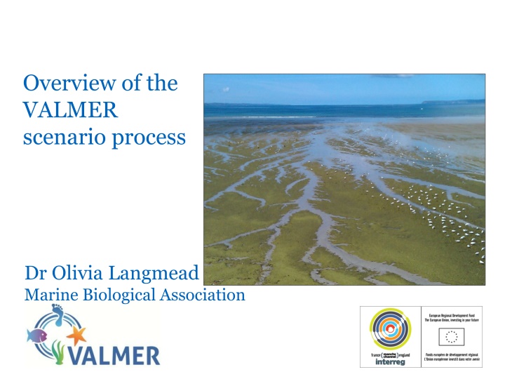 overview of the valmer scenario process n.w