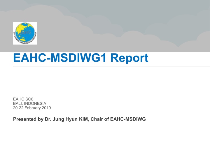 eahc msdiwg1 report n.w