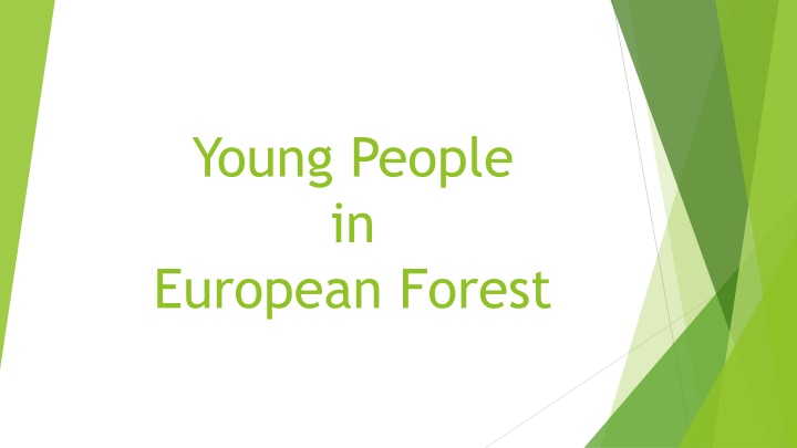young people in european forest n.w