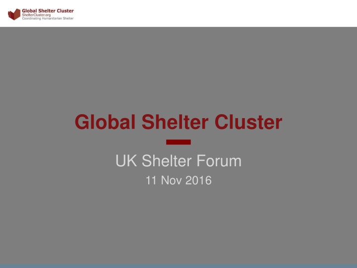 global shelter cluster n.w