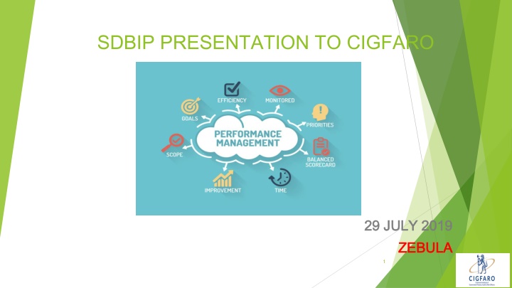 sdbip presentation to cigfaro n.w