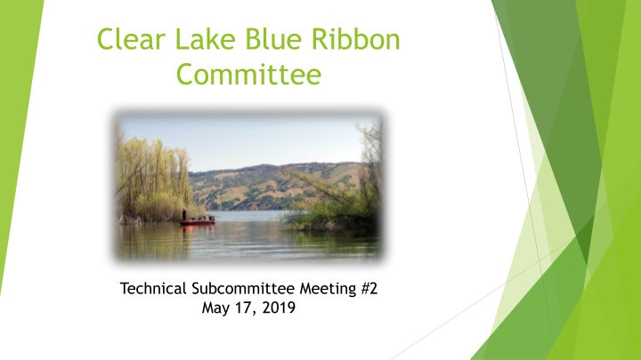 clear lake blue ribbon committee n.w