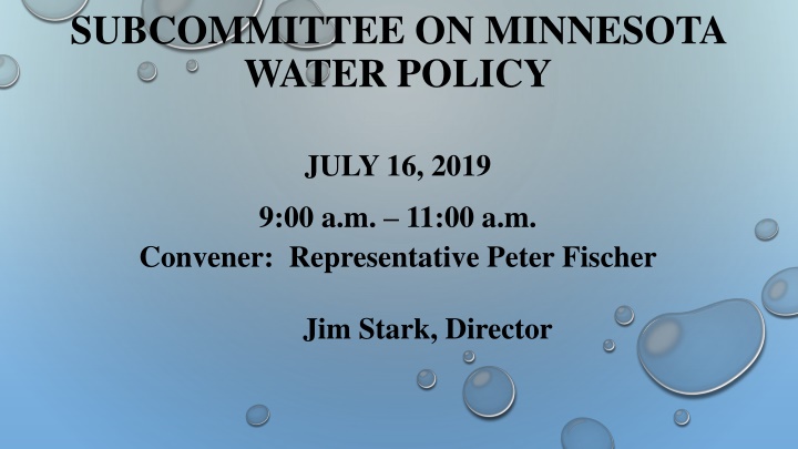 subcommittee on minnesota water policy n.w
