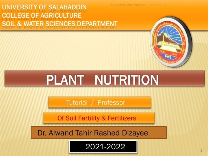 dr alwand tahir dizayee n.w
