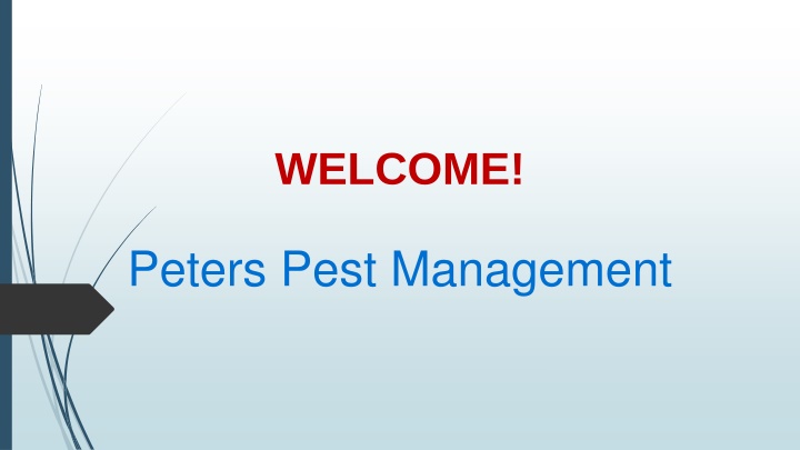 Best Pest Management in Taren Point