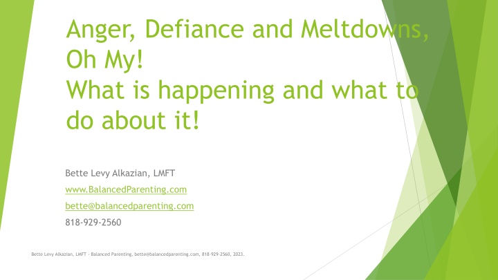 anger defiance and meltdowns oh my what n.w