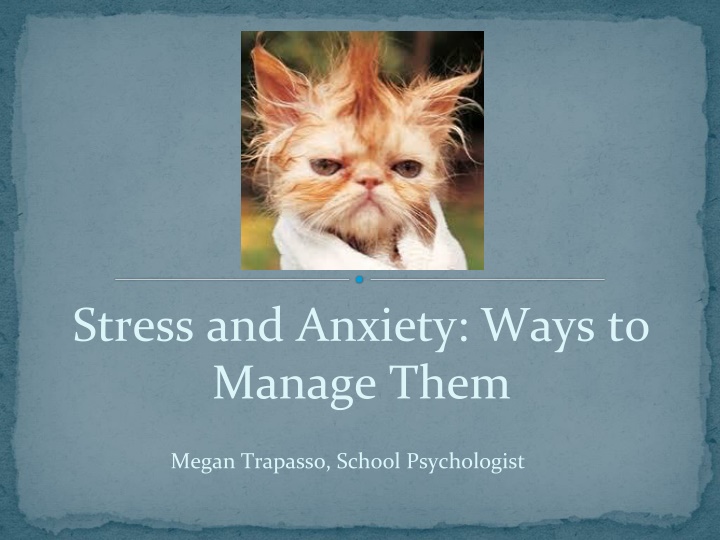stress and anxiety ways to manage them n.w