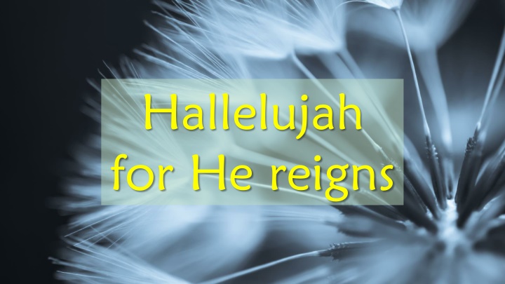 hallelujah for he reigns n.w