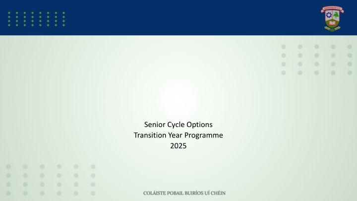 senior cycle options transition year programme n.w