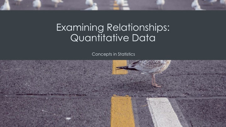 examining relationships quantitative data n.w