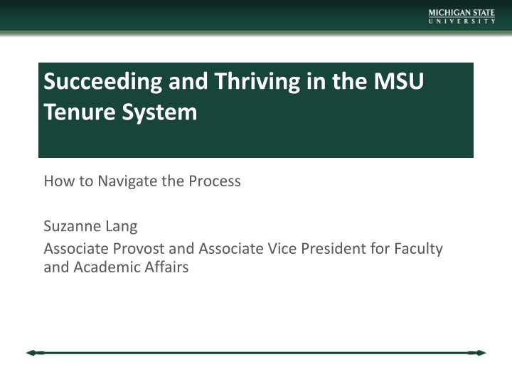 succeeding and thriving in the msu tenure system n.w