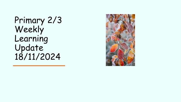 primary 2 3 weekly learning update 18 11 2024 n.w