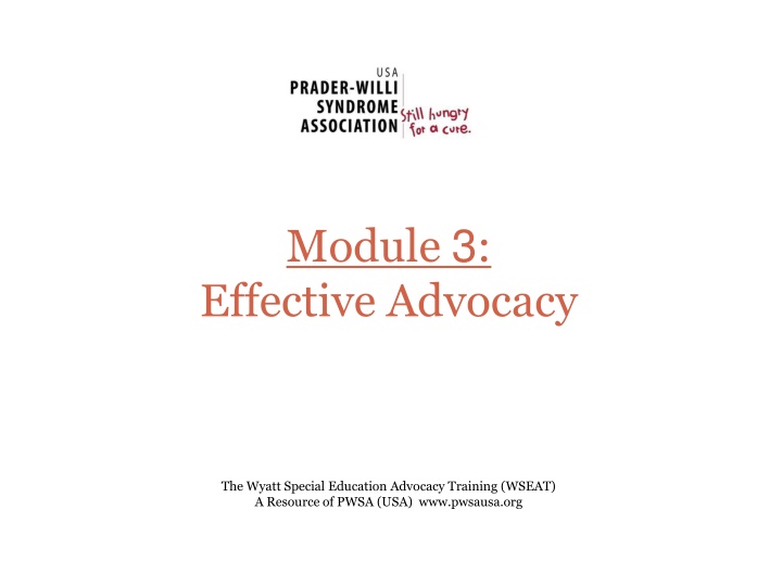 module 3 effective advocacy n.w