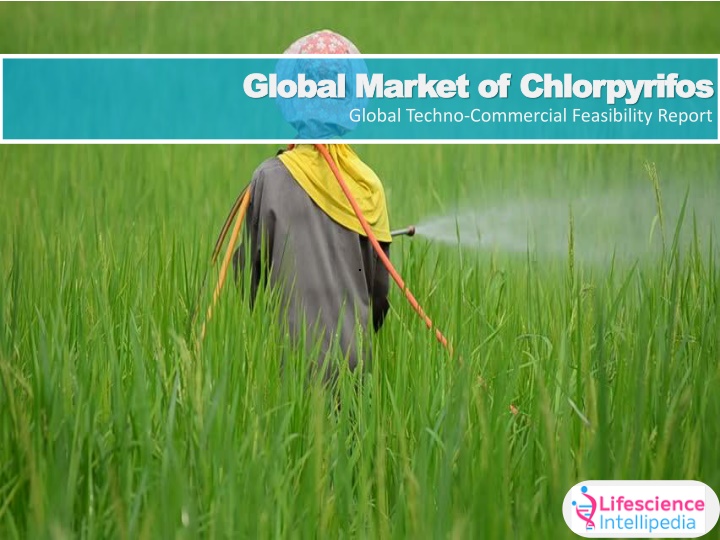 global market of global market of chlorpyrifos n.w