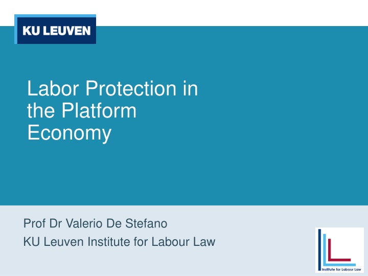 Labor Protection in the Platform Economy: Challenges and Opportunities