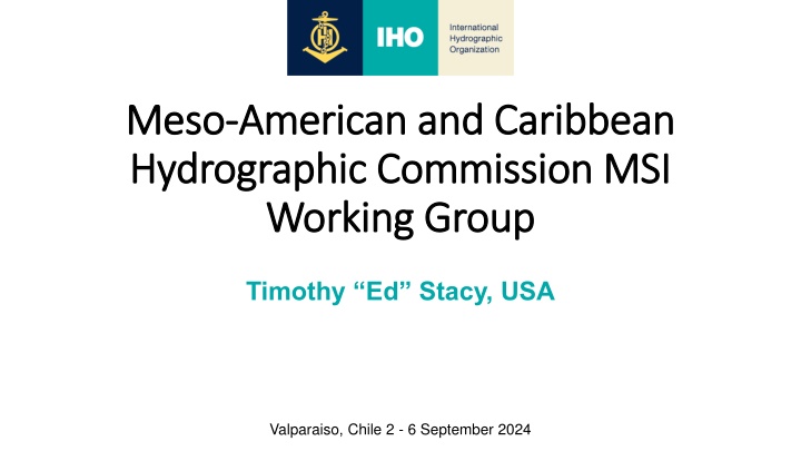 meso meso american and caribbean american n.w