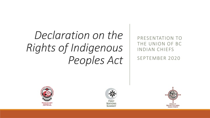 declaration on the rights of indigenous peoples n.w