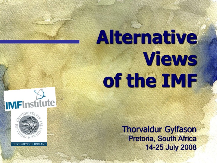 alternative views of the imf n.w