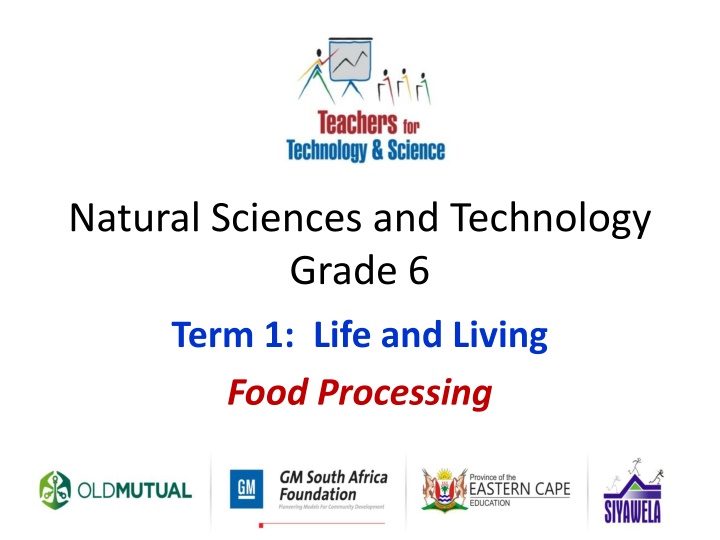 natural sciences and technology grade 6 n.w