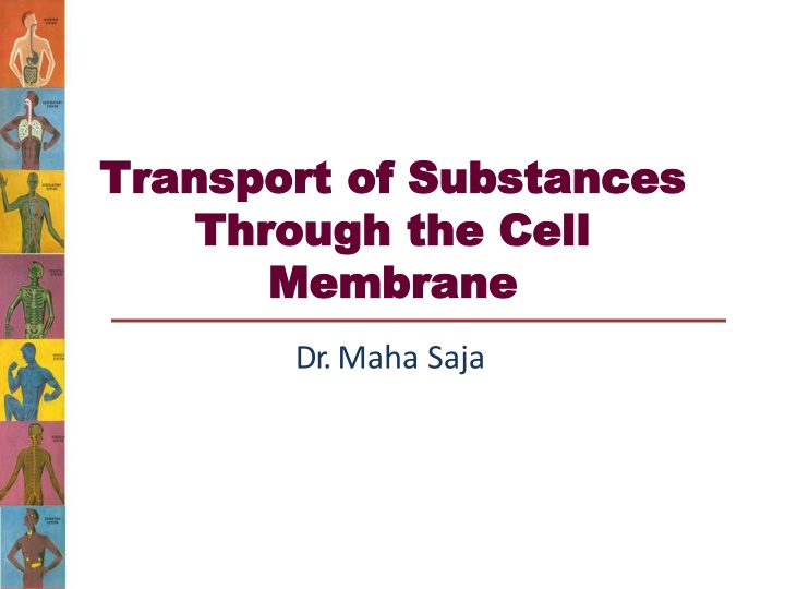 transport transport of substances of substances n.w