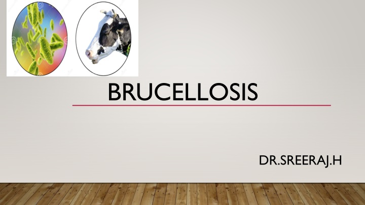 brucellosis n.w