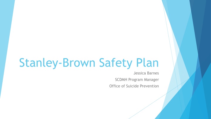 stanley brown safety plan n.w