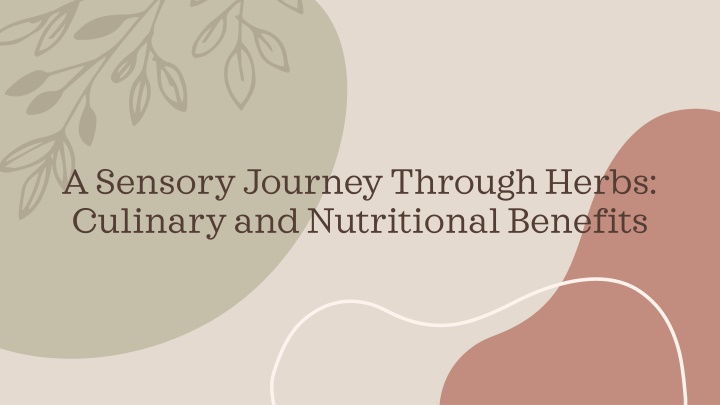 a sensory journey through herbs culinary n.w