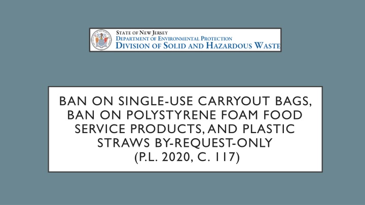 ban on single use carryout bags n.w