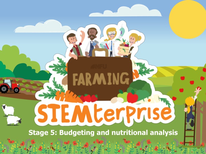 stage 5 budgeting and nutritional analysis n.w