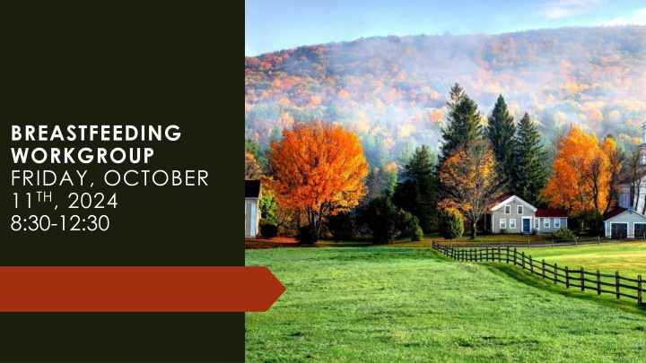 breastfeeding workgroup friday october 11 th 2024 n.w