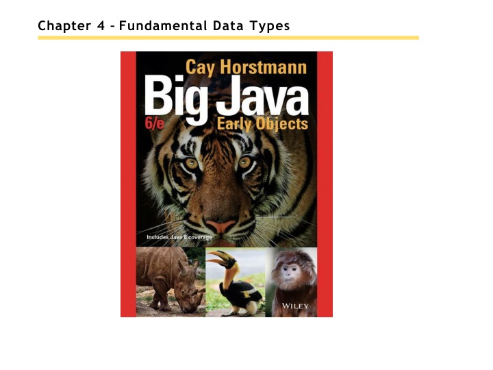 chapter 4 fundamental data types n.w