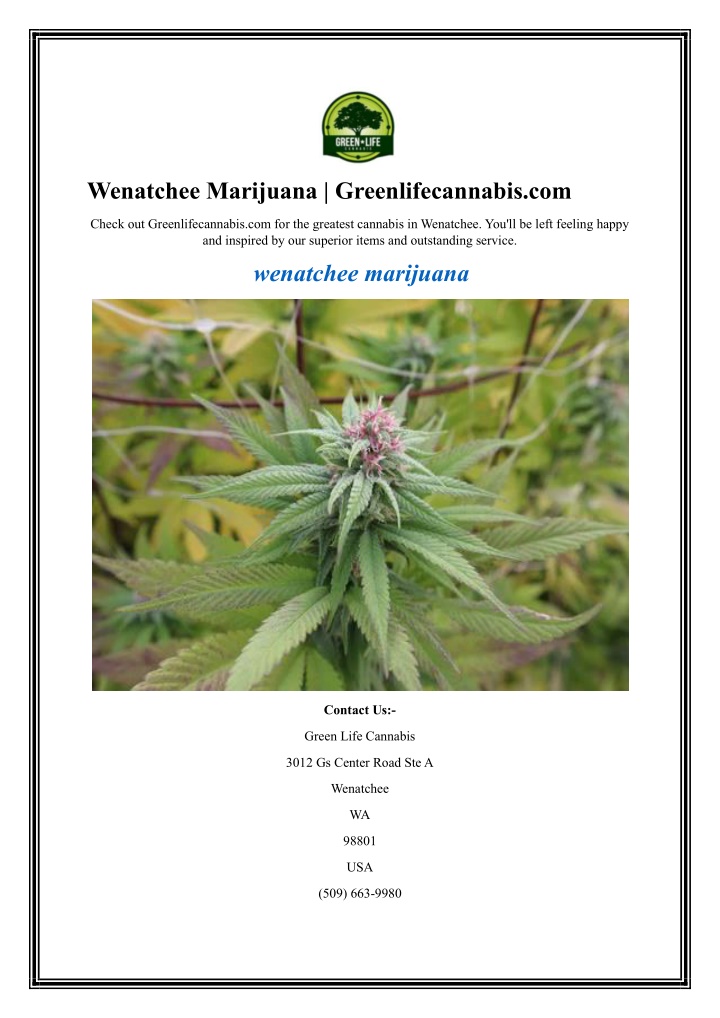wenatchee marijuana greenlifecannabis com n.w