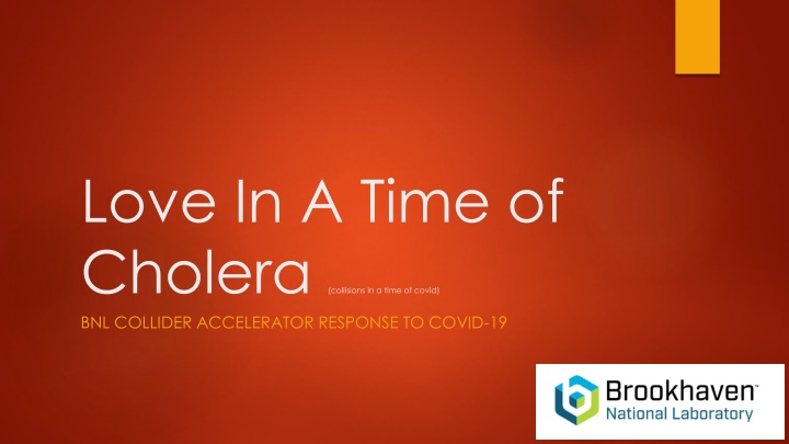 love in a time of cholera collisions in a time n.w