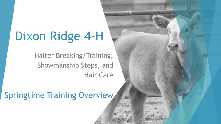dixon ridge 4 h n.w