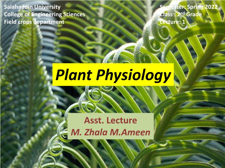 salahaddin university college of engineering n.w