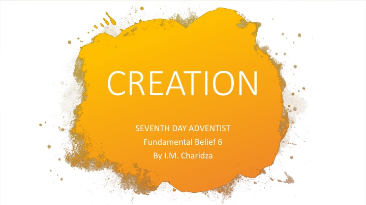 creation n.w
