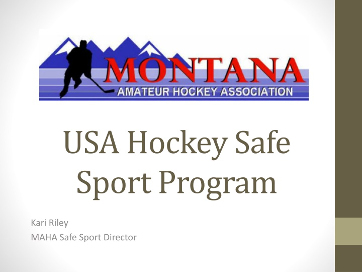 usa hockey safe sport program n.w