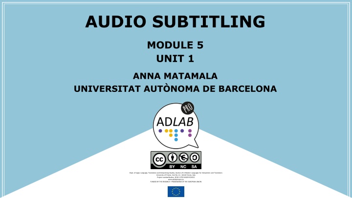 audio subtitling n.w