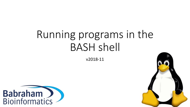 running programs in the bash shell n.w