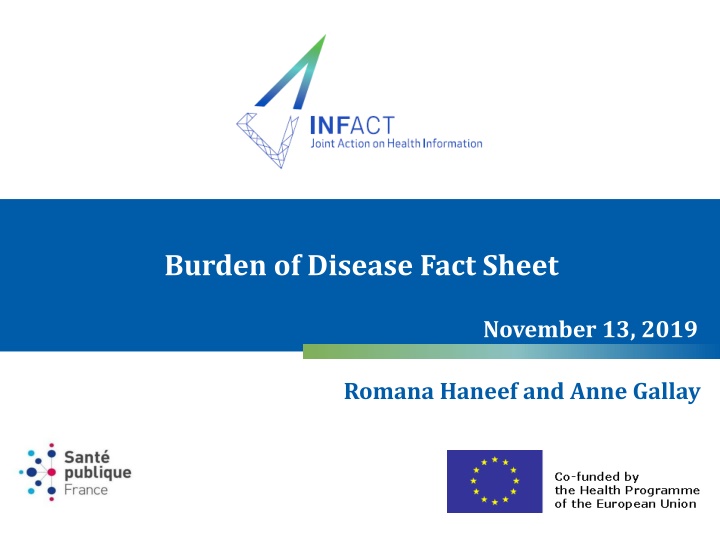 burden of disease fact sheet n.w