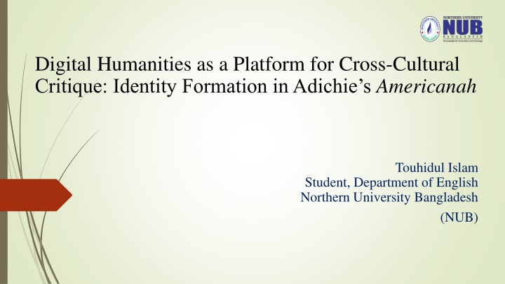 Digital Humanities & Identity Formation in Adichie's Americanah