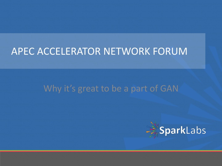 apec accelerator network forum n.w