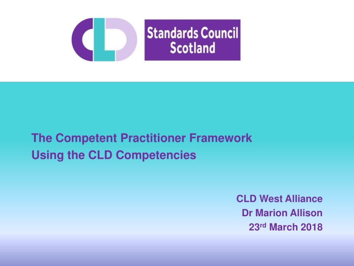 the competent practitioner framework using n.w