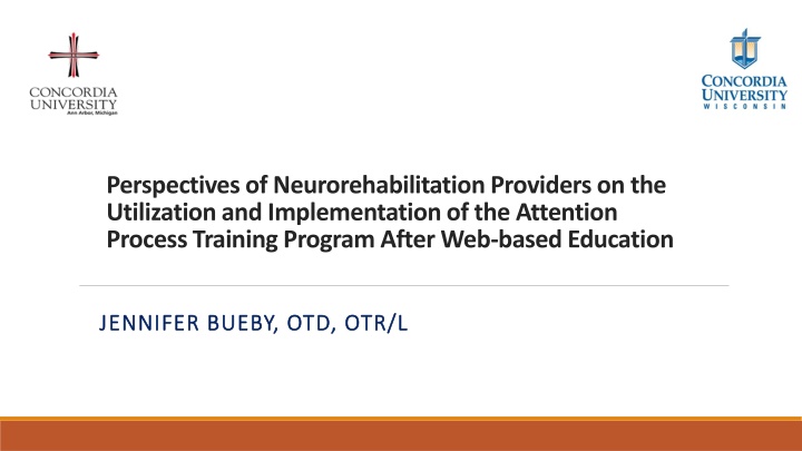 perspectives of neurorehabilitation providers n.w