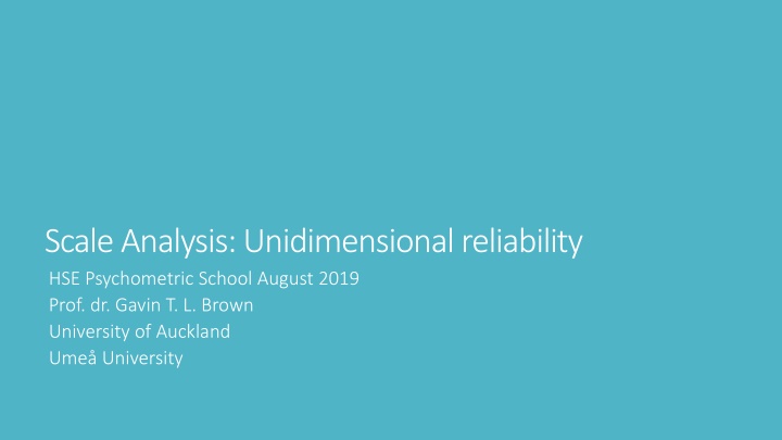 scale analysis unidimensional reliability n.w