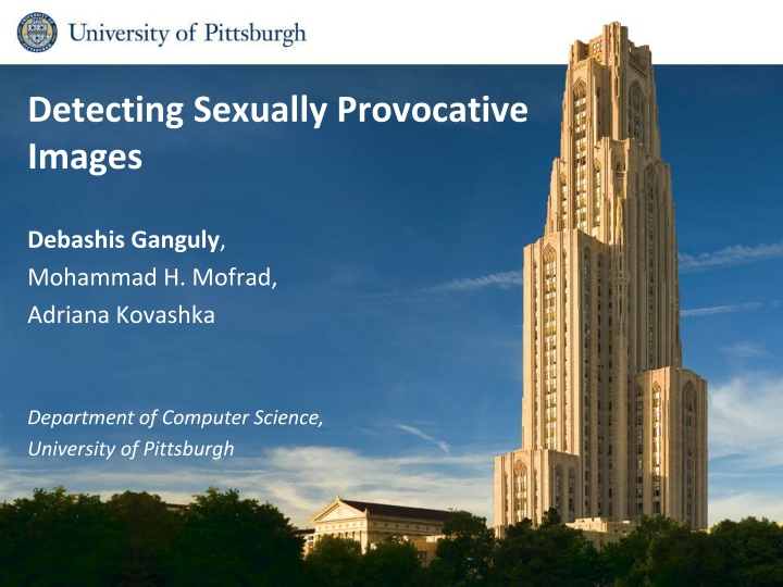 detecting sexually provocative images n.w