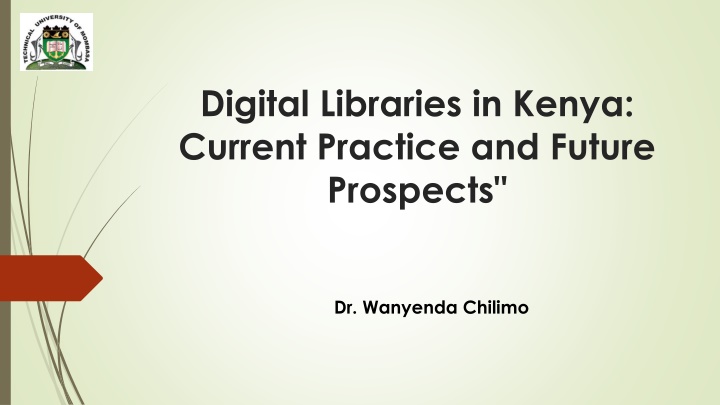 digital libraries in kenya current practice n.w