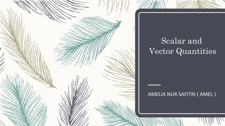 scalar and vector quantities n.w