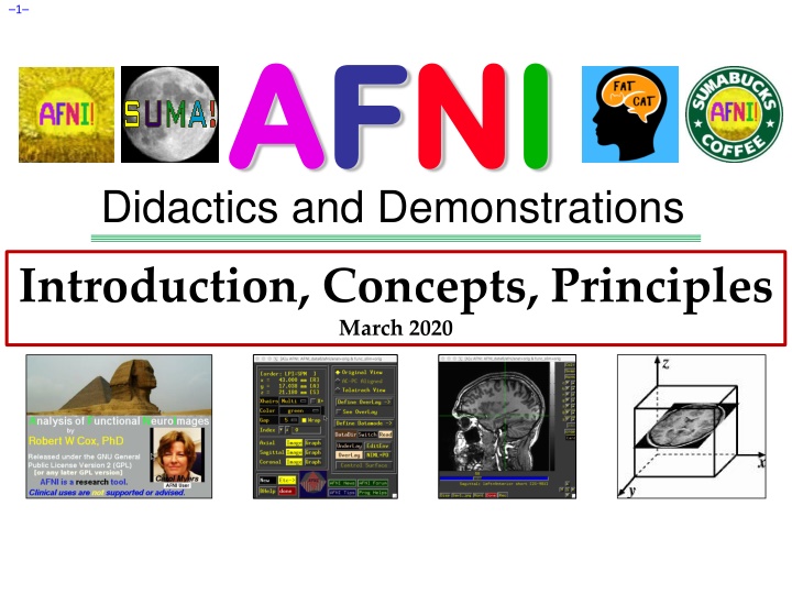 slide1 n.w