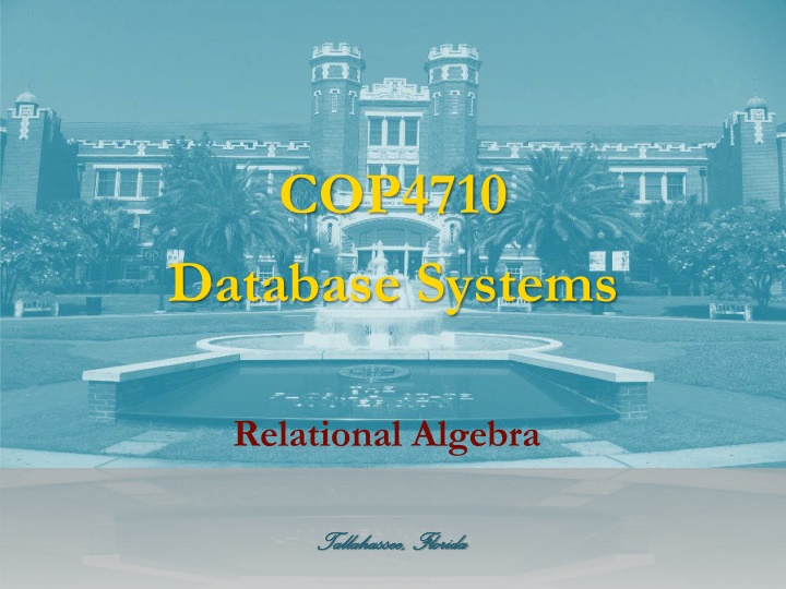 cop4710 database systems n.w